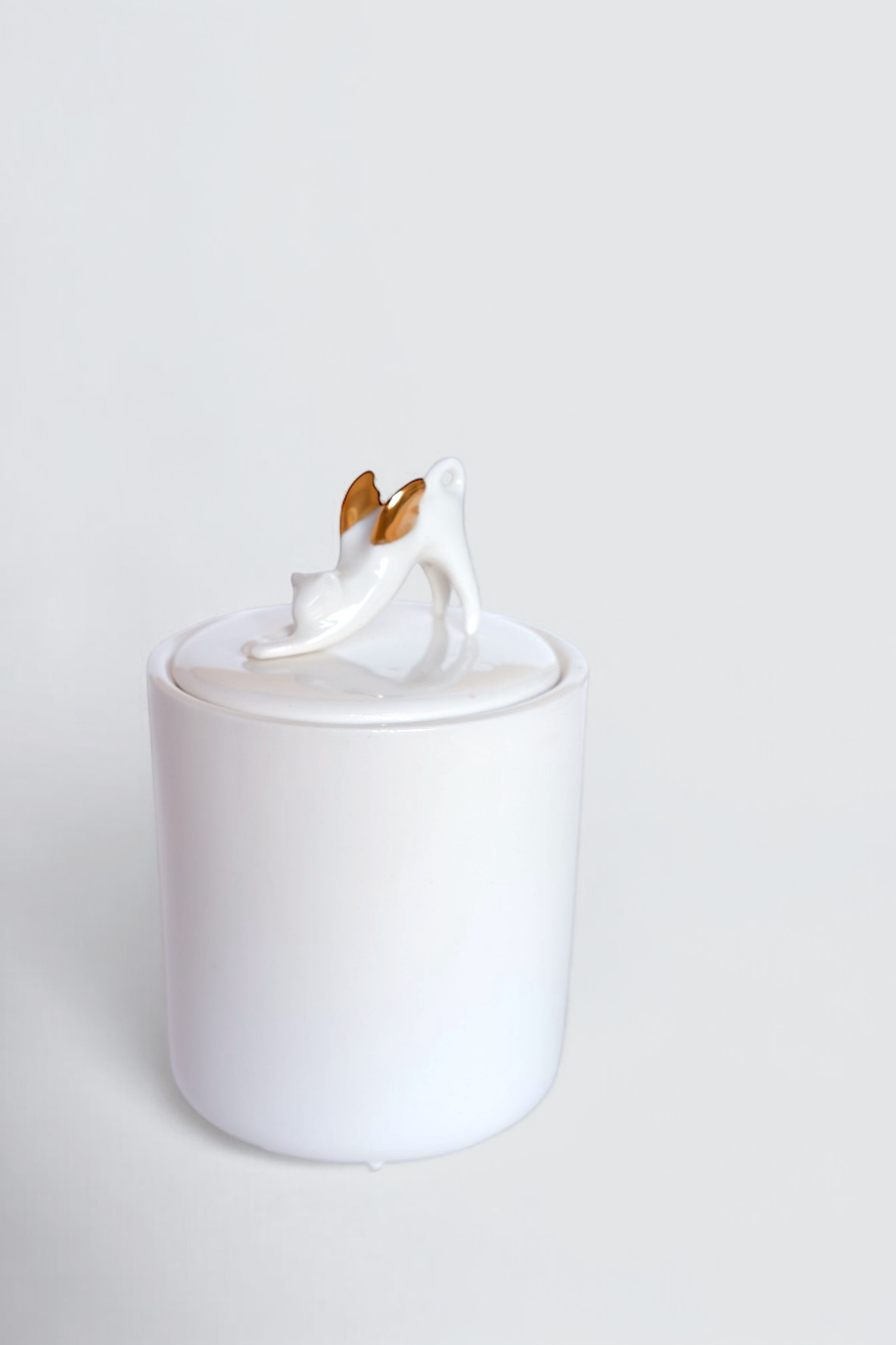 Decorativ jar with cat