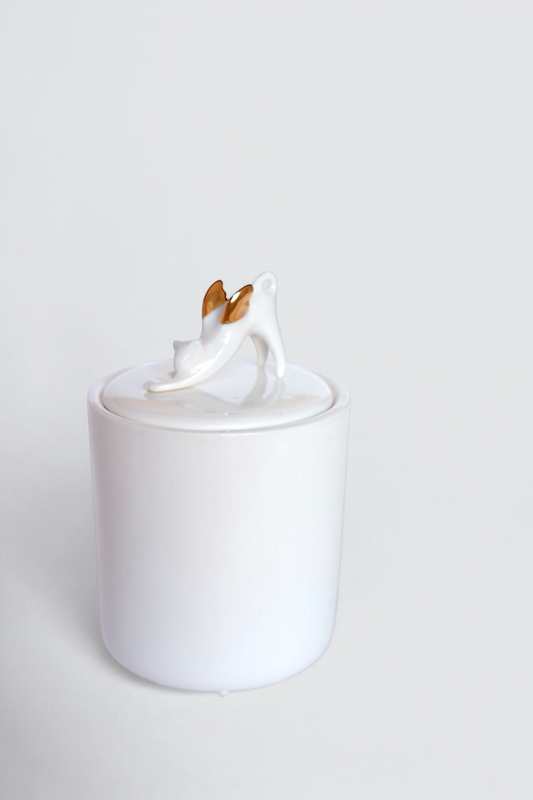 Decorativ jar with cat
