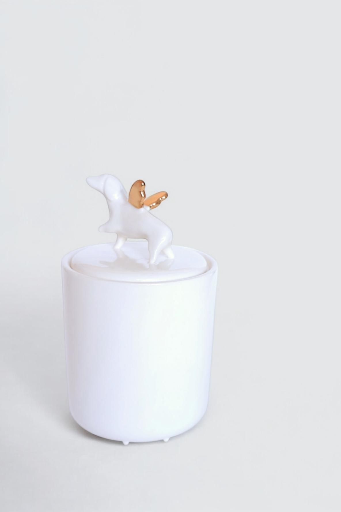 Decorative jar with dog